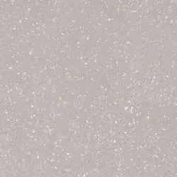 Moondust Silver Polpoler 59.8x59.8