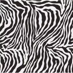 Moonlight Zebra Polished Rect. 75x75