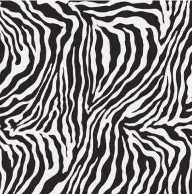 Moonlight Zebra Polished Rect. 75x75