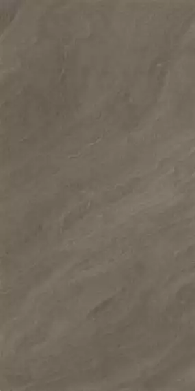 Mushroom Full Body Glossy 60x120