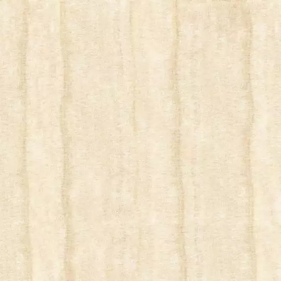 N8558 T LAMIA NANO POLISHED 60*60