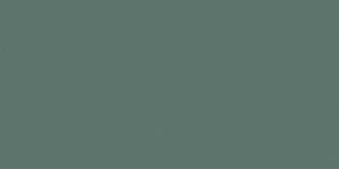 N90004 Керамогранит Leaf Matt 60x120