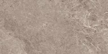 NATURAL GREIGE 50x100