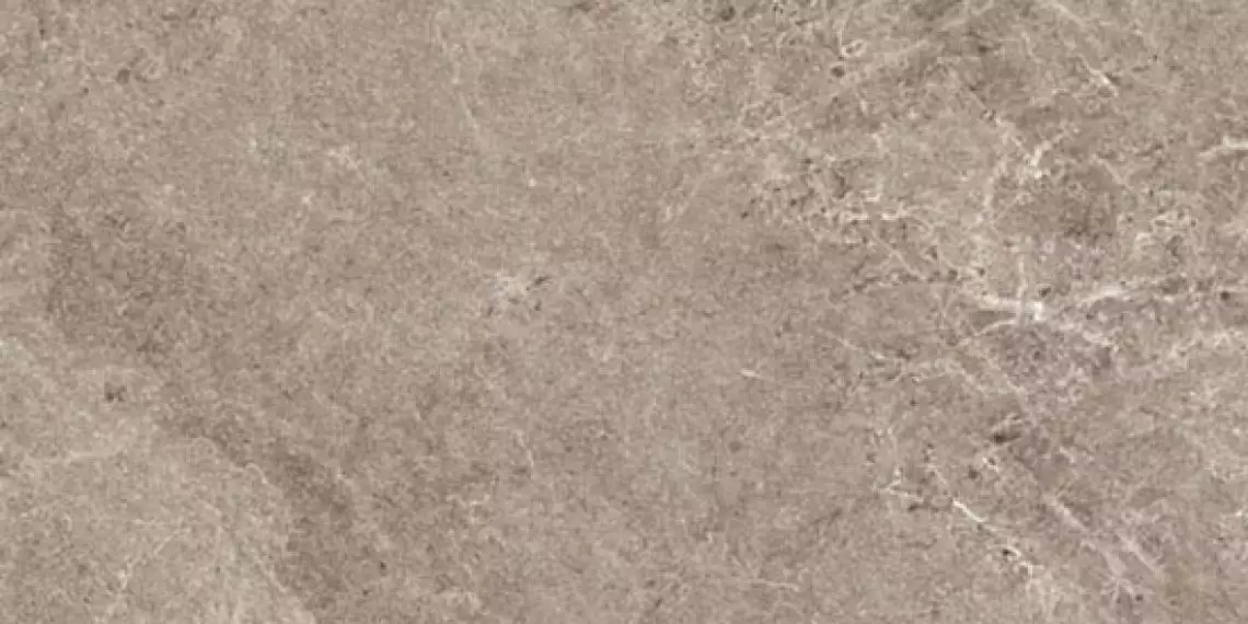 NATURAL GREIGE 50x100