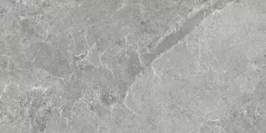 NATURAL SILVER 50x100