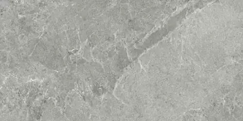 NATURAL SILVER 50x100