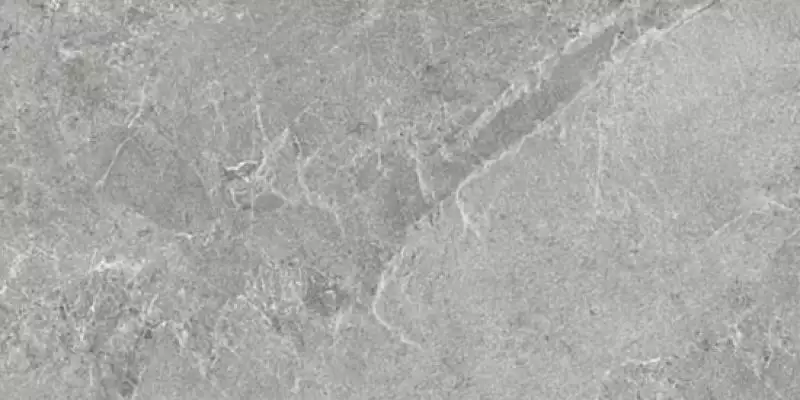 NATURAL SILVER 50x100