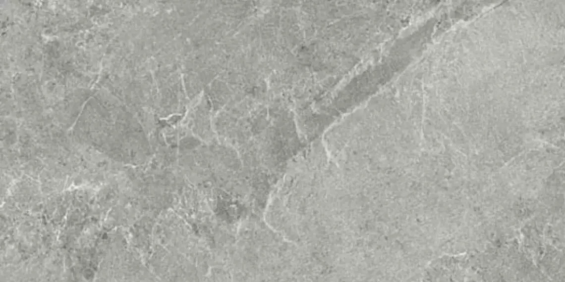 NATURAL SILVER 50x100