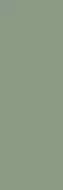 NB_0403 Плитка Ekzotic olive 30х90
