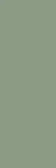 NB_0403 Плитка Ekzotic olive 30х90