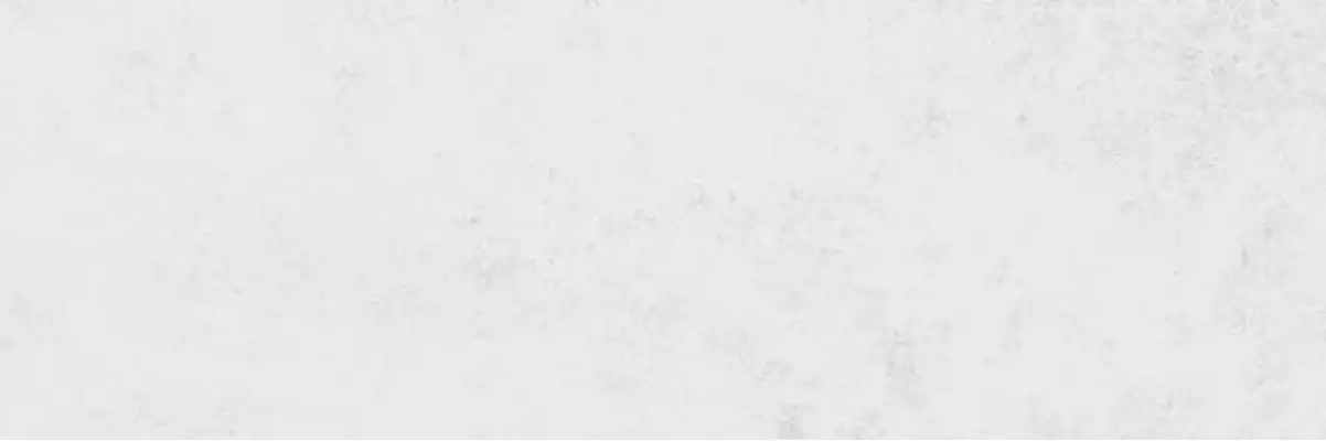 NG19A Плитка Talisman White A NG 30x90