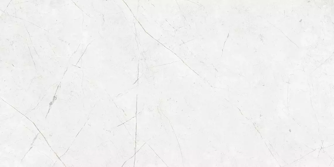 NL00 Nolana White Неполированный Рект. 60x120x10