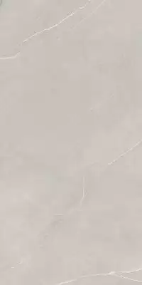 NL02 Nolana Light Grey Неполированный Рект. 60x120x9