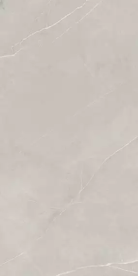 NL02 Nolana Light Grey Неполированный Рект. 60x120x9