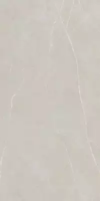 NL02 Nolana Light Grey Полированный 60x120x9