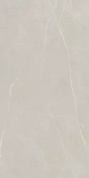 NL02 Nolana Light Grey Полированный 60x120x9