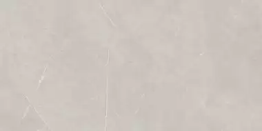 NL02 Nolana Light Grey Полированный Рект. 60x120x10