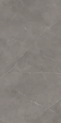 NL03 Nolana Dark Grey Неполированный Рект. 60x120x9