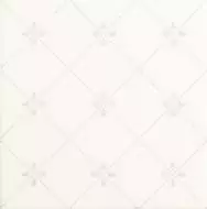 NOBLESSE DELIS BLANCO 20*20