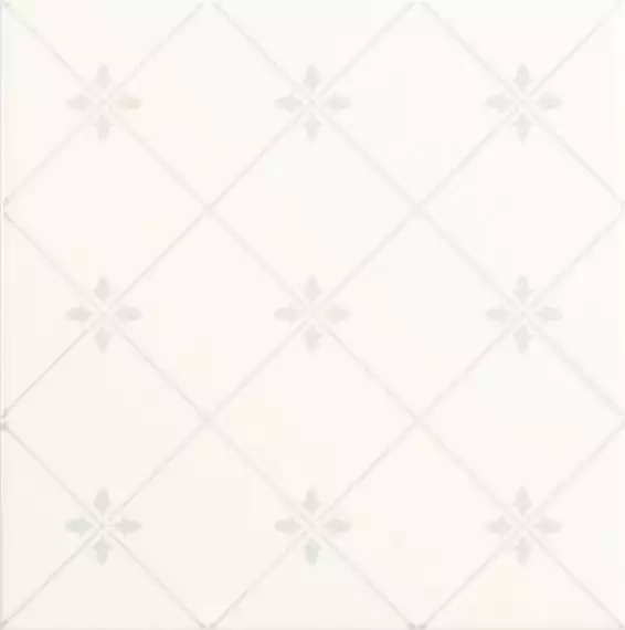 NOBLESSE DELIS BLANCO 20*20