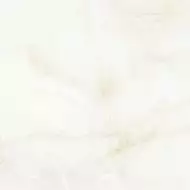 NOSHA Polished 80x80