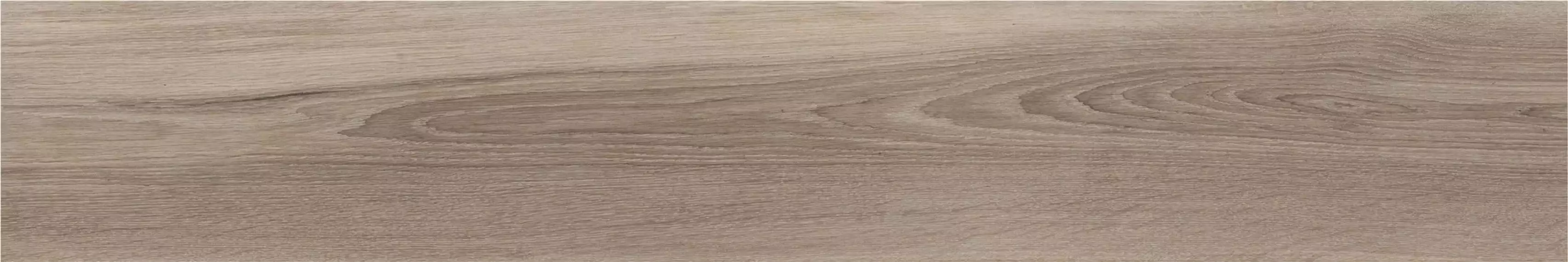 NTL2 Natural Almond 19.7x120