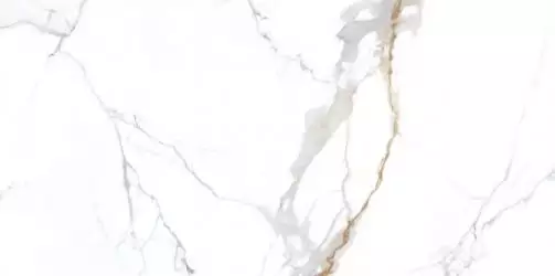 NTT3001P Carrara Gold 120x240