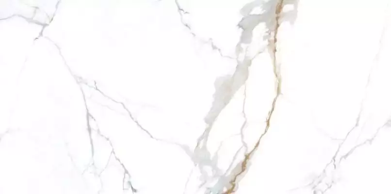 NTT3001P Carrara Gold 120x240