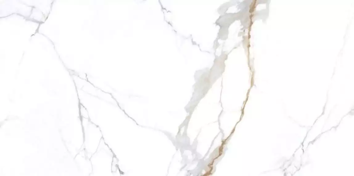 NTT3001P Carrara Gold 120x240