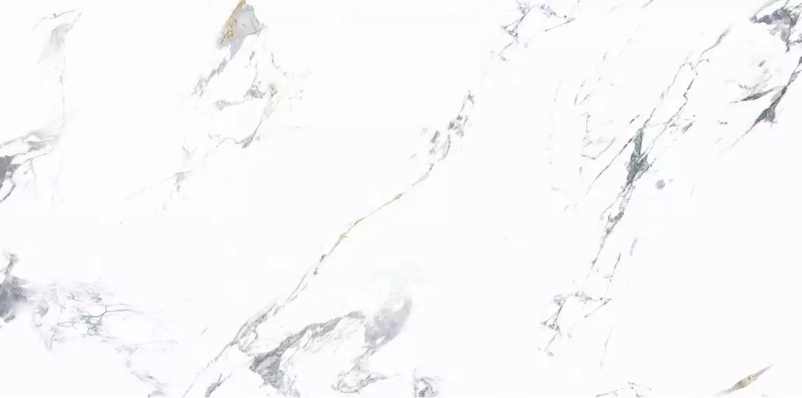 NTT3003P Arabescato 120x240