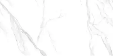 NTT3009M Statuario Mat 120x240