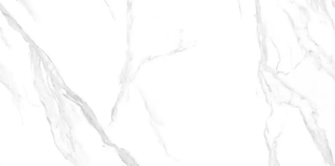 NTT3009M Statuario Mat 120x240