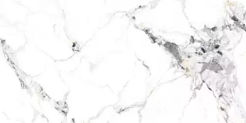 NTT3310P Breccia Bianco 120x240