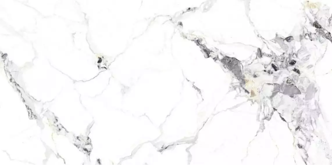 NTT3310P Breccia Bianco 120x240