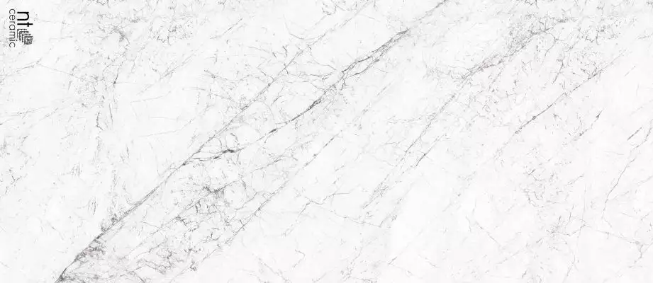 NTT3602C Керамогранит Carrara Elite 120x280