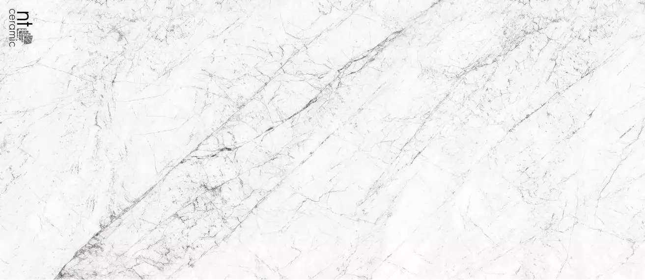 NTT3602C Керамогранит Carrara Elite 120x280
