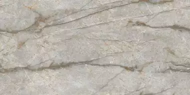 NTT99517M Forest Carving 60x120