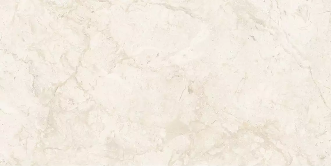 NTT99523C Керамогранит Stone Almond Endless 60x120