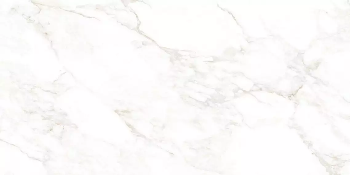 NTT99526M Керамогранит Marble Extra Endless 60x120