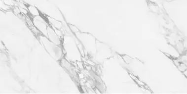 NTT99528P Керамогранит Artic statuario Glossy 60x120