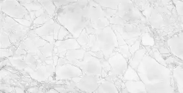 NTTHS99807D Керамогранит Infinity Glacier Map 4D 60x120