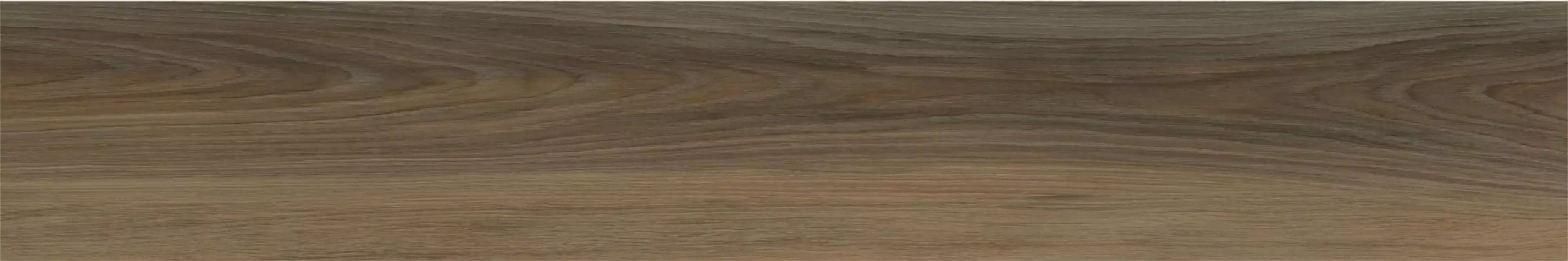 NTW2 Natural Wild 19.7x120