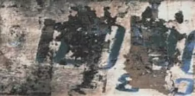 NUNZIA B 11,2x22,4
