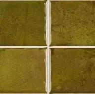 Nairobi Noa Moss (10x10) 20x20