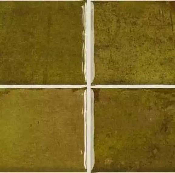 Nairobi Noa Moss (10x10) 20x20