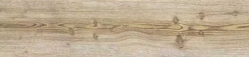 Neila Maple Natural 24.9x100
