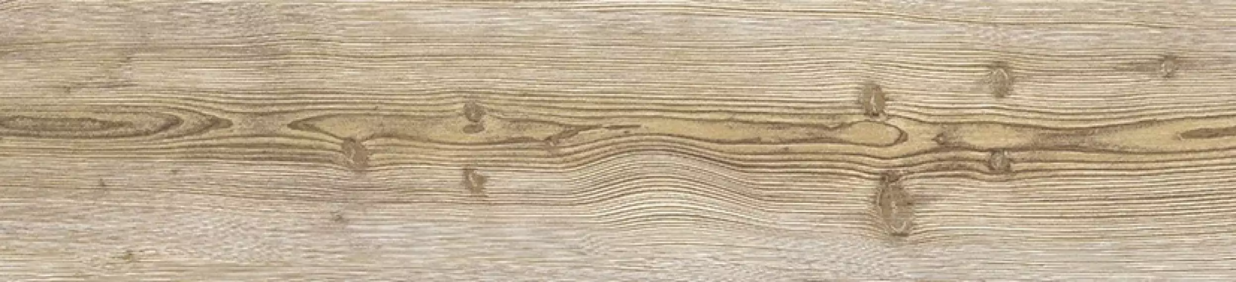 Neila Maple Natural 24.9x100