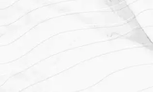Neptune Rlv Blanco 33.3*55