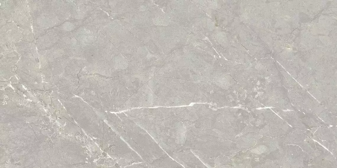 Nevada Grey 60x120