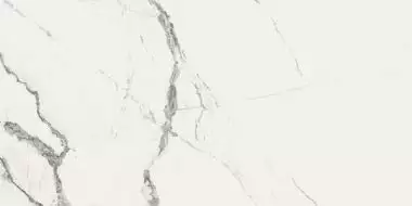 New ice white 60х120